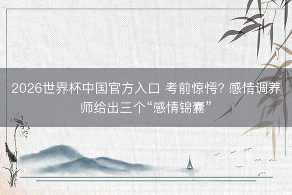 2026世界杯中国官方入口 考前惊愕? 感情调养师给出三个“感情锦囊”