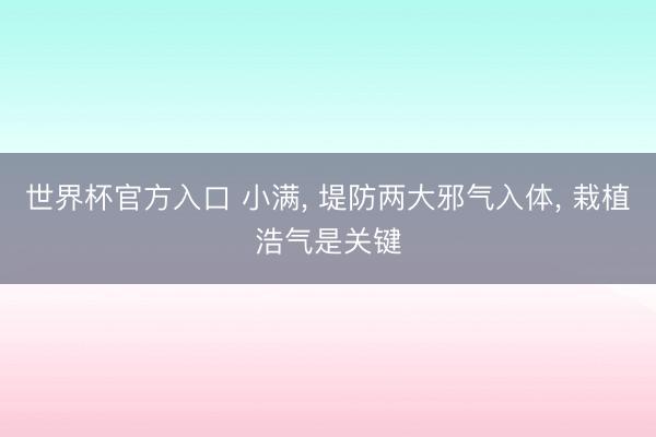 世界杯官方入口 小满， 堤防两大邪气入体， 栽植浩气是关键