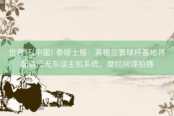 世界杯(中国) 泰晤士报：英格兰寰球杯基地将配备反无东谈主机系统，糜烂间谍拍摄