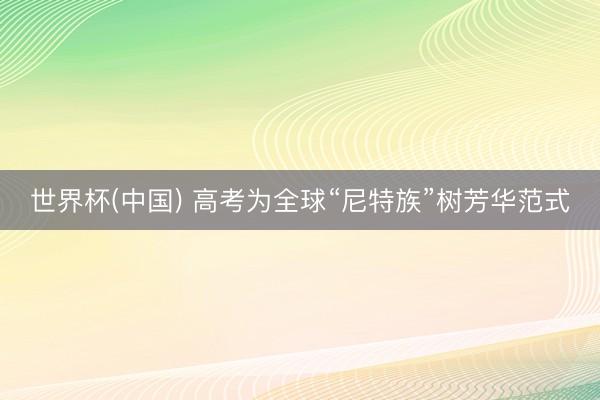 世界杯(中国) 高考为全球“尼特族”树芳华范式