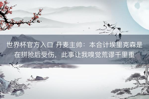 世界杯官方入口 丹麦主帅：本合计埃里克森是在拼抢后受伤，此事让我嗅觉荒谬千里重