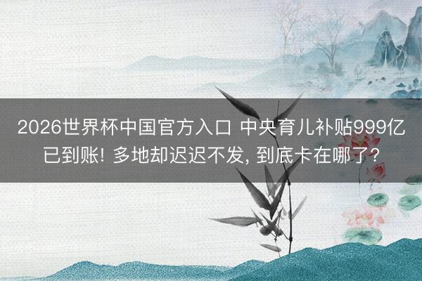 2026世界杯中国官方入口 中央育儿补贴999亿已到账! 多地却迟迟不发， 到底卡在哪了?