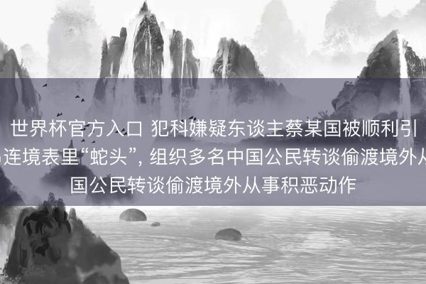 世界杯官方入口 犯科嫌疑东谈主蔡某国被顺利引渡归国! 曾串连境表里“蛇头”， 组织多名中国公民转谈偷渡境外从事积恶动作