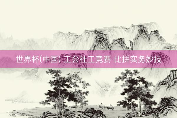 世界杯(中国) 工会社工竞赛 比拼实务妙技