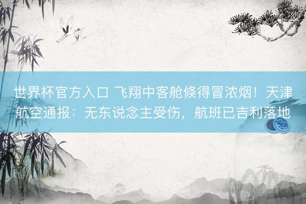 世界杯官方入口 飞翔中客舱倏得冒浓烟！天津航空通报：无东说念主受伤，航班已吉利落地