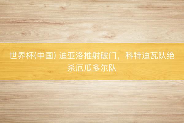 世界杯(中国) 迪亚洛推射破门，科特迪瓦队绝杀厄瓜多尔队