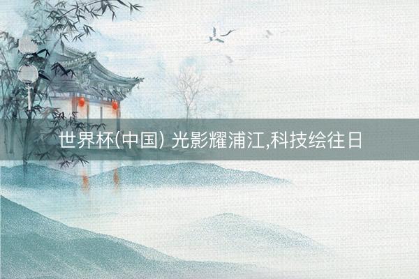 世界杯(中国) 光影耀浦江,科技绘往日