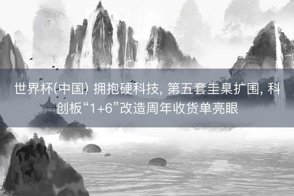 世界杯(中国) 拥抱硬科技, 第五套圭臬扩围, 科创板“1+6”改造周年收货单亮眼